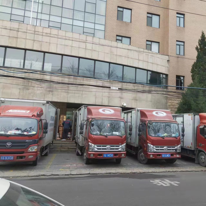  燃油觀光車 